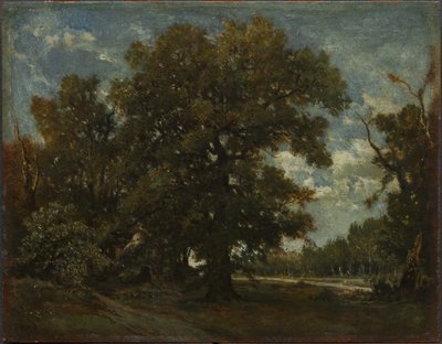 Meşe Ağacı by Theodore Rousseau