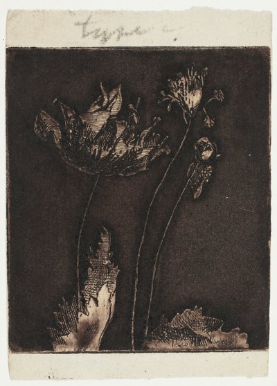 son haşhaş by Theodore Roussel