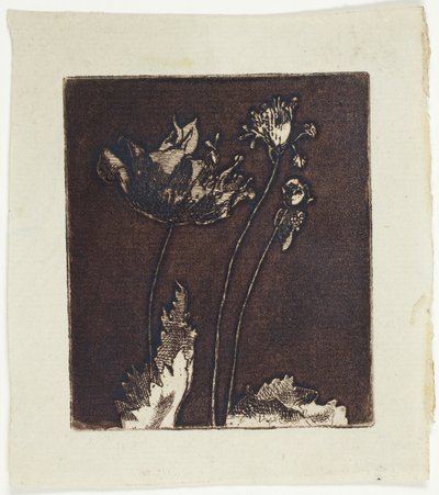 son haşhaş by Theodore Roussel