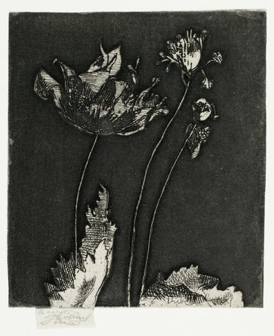 son haşhaş by Theodore Roussel
