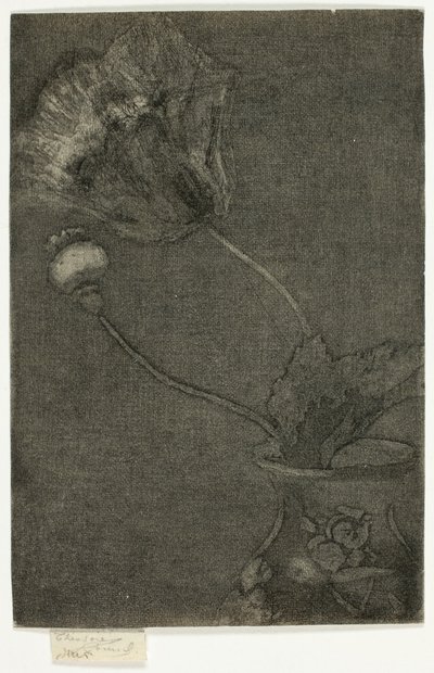 Vazoda Haşhaş by Theodore Roussel