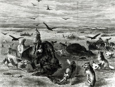 Harpers Weekly 1872