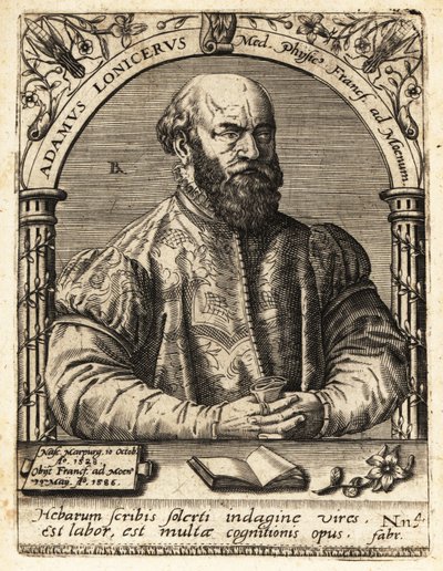 Adam Lonicer veya Lonitzer by Theodore de Bry