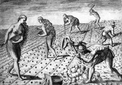 Güney Amerika yerlileri arasında tarım - “” Admirante Narratio Americae””de, Théodore de Bry by Theodore de Bry