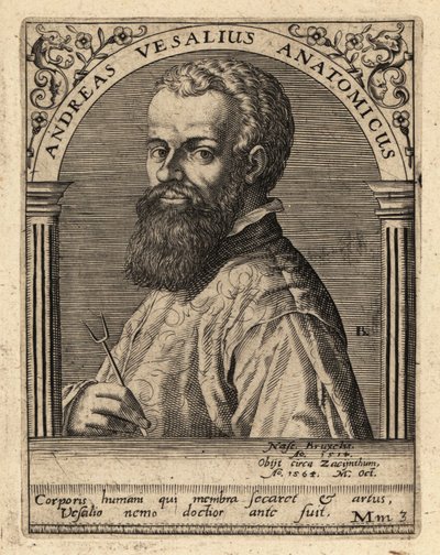 Andreas Vesalius, Flaman hekim, anatomist by Theodore de Bry