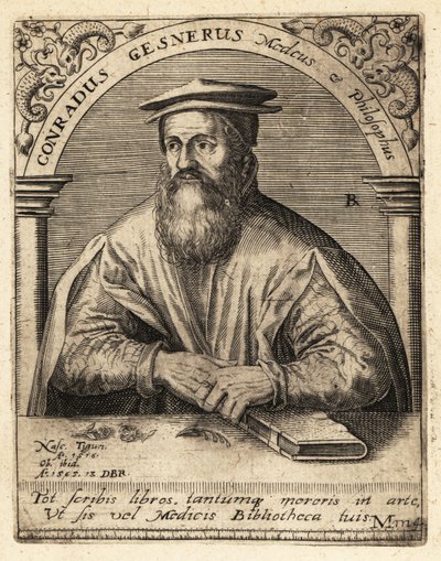 Conrad Gessner, İsviçreli doktor by Theodore de Bry