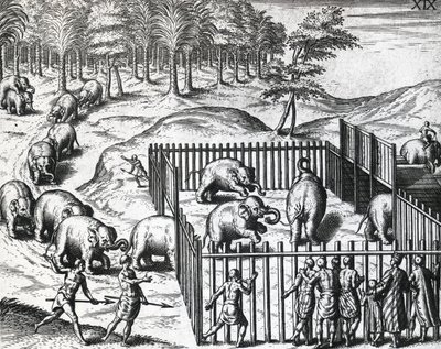 Pegu krallığında fil avı, şimdi Myanmar, Theodor de Bry (1528-1598), gravür by Theodore de Bry