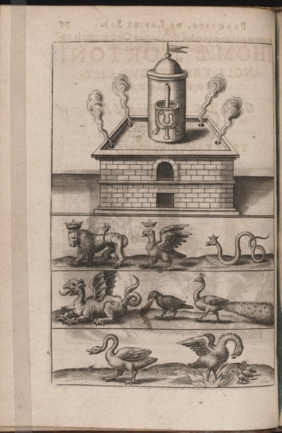 Tripus Avrevs için illüstrasyon, yani seçkin kimyagerlerin üç incelemesi.., 1618 by Theodore de Bry