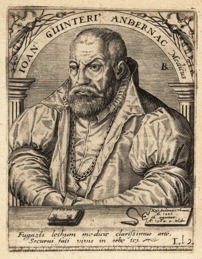 Johann Winter von Andernach, Alman doktor by Theodore de Bry
