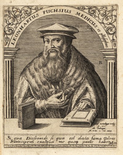 Leonhart Fuchs, Alman doktor ve botanikçi 1501-1566. by Theodore de Bry