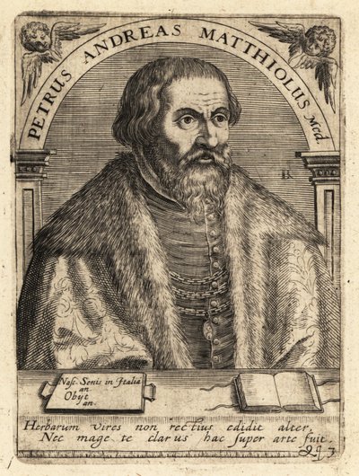 Pietro Andrea Gregorio Mattioli, İtalyan doktor by Theodore de Bry