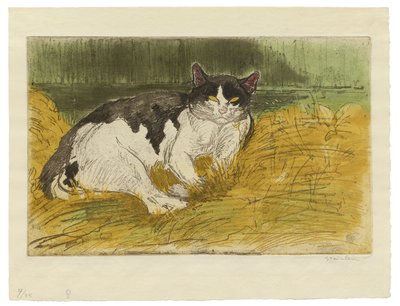 çimenlerin arasında yaşlı siyah beyaz kedi by Théophile Alexandre Steinlen