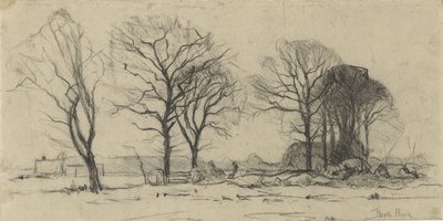Ağaçlar ile manzara by Theophile de Bock