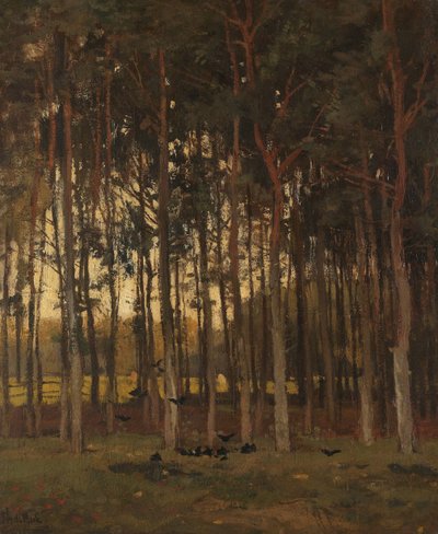 Ormanda Görüntüle by Theophile de Bock