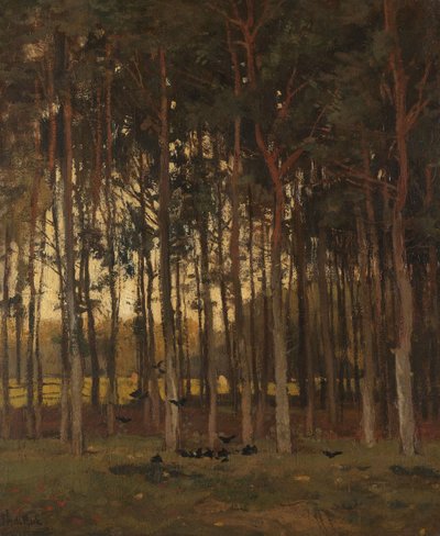 Ormandaki Manzara by Theophile de Bock