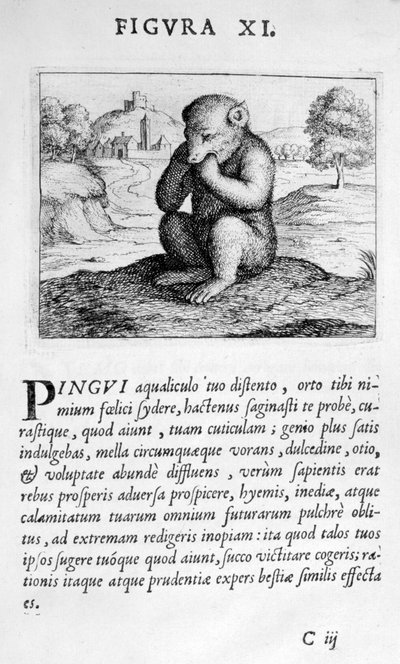 Eximii Doktoru Paracelsus