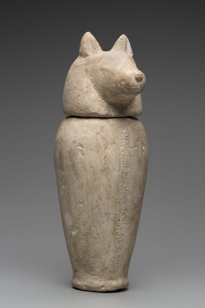 Çakal Başlı Kanopik Kavanoz (kireçtaşı) by Third Intermediate Period Egyptian