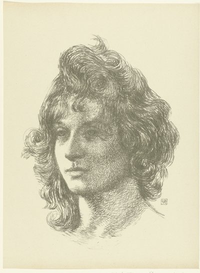 Portret van jonge vrouw Genç bir kadının kafasının incelenmesi Deneme (dizi başlığı) by Théo van Rysselberghe