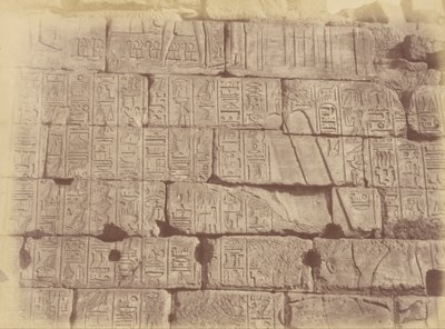Hiyeroglif Yazıtların ve Heykellerin Yakın Çekim Görünümü (Mağlup Edilen Milletler Listesi), Karnak by Théodule Devéria