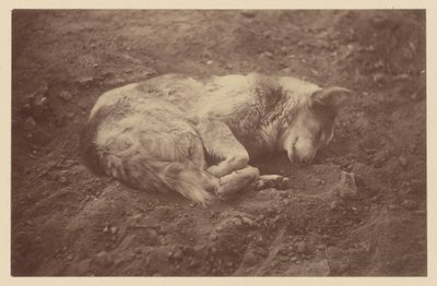  by Théodule Devéria