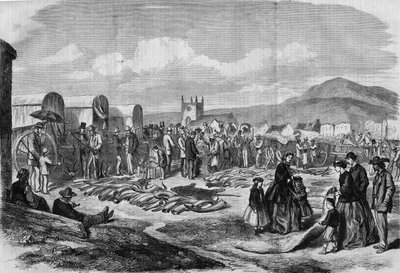 Grahamstown, Arnavutluk, Cape Colony