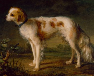 Manzarada Bir Spaniel (petrol) by Thomas (circle of) Gainsborough
