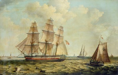 Hull