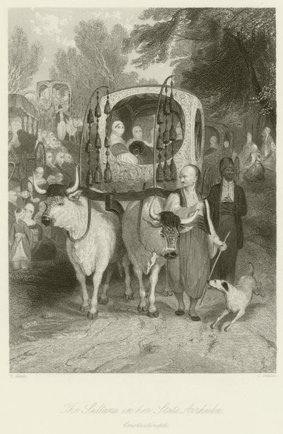 The Sultana in her State Arrhuba  by Thomas Allom