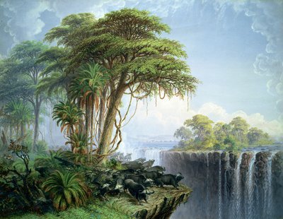 Bilinmeyen resim by Thomas Baines