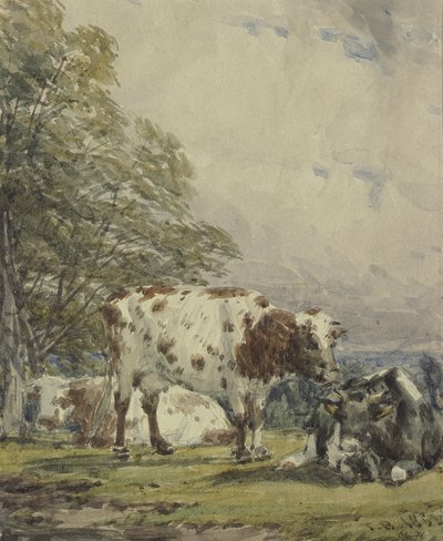 Bir Sığır Araştırması, 19. Yüzyıl by Thomas Baker