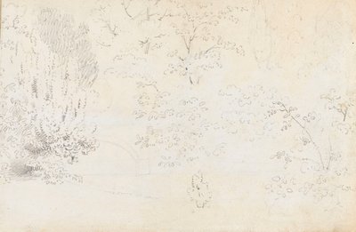 Batıdan köprünün ve ağaçların grafit çalışması (verso) by Thomas Baxter