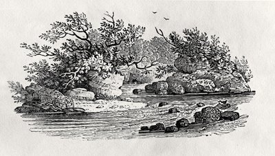 1804