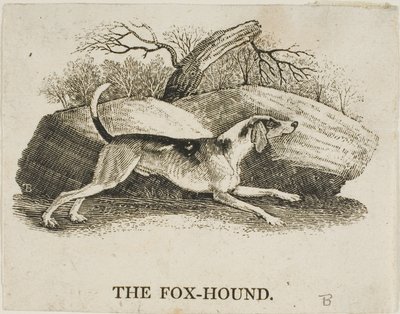 tilki köpeği by Thomas Bewick