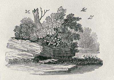 1790