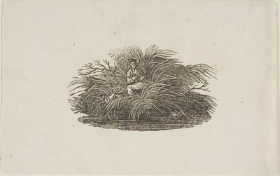 Kuyruk parçası: Bush Man by Thomas Bewick