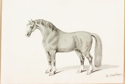 Kara At (kağıt üzerine mürekkep) by Thomas Bewick