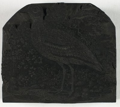 İngiliz Kuşlarının Tarihinden Büyük Plover için Tahta Blok by Thomas Bewick