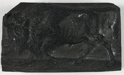 Dört Ayaklıların Genel Tarihinden Urus veya Yabani Boğa için Tahta Blok by Thomas Bewick