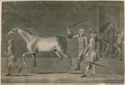Dırdırcı satan bir at binicisi - uyarı alıcısı by Thomas Burford