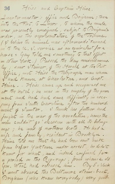 Thomas Butler Gunn Diaries- Cilt 20, sayfa 44, 4 Haziran 1862 by Thomas Butler Gunn