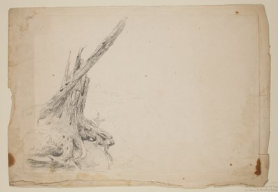 Kırık Bir Ağacın Gövdesi (kağıt üzerine kurşun kalem) by Thomas Cole