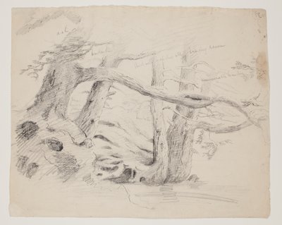 Meşe ve Baldıran Ağaçları (kağıt üzerine kurşun kalem) by Thomas Cole