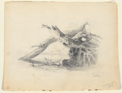 İki Ölü Ağacın Kroki by Thomas Cole