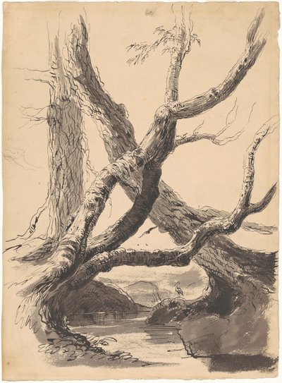 Ağaç Gövdeleri by Thomas Cole