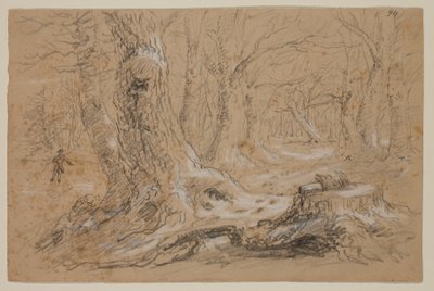 Donmuş Derede Duran Adamla Kışın Ağaçlar (kağıt üzerinde kurşun kalem ve guaj) by Thomas Cole