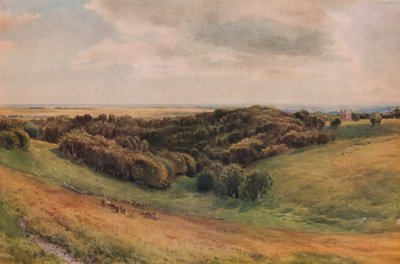 Arundel Parkı, 1874 by Thomas Collier