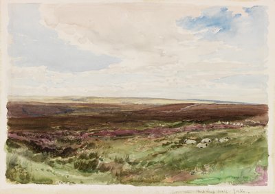 Hart Leap Well, Yorkshire yakınlarındaki Moorland (kağıt üzerine suluboya) by Thomas Collier