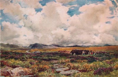 Turba İstifleme, Festiniog, Kuzey Galler, 1881 by Thomas Collier