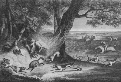 Tilkinin Ölümü, 1793. by Thomas Cook