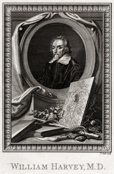 William Harvey, 1777 by Thomas Cook